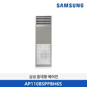 삼성전자 중대형 비스포크 에어컨 - 냉난방 30평형 AP110BSPPBH6S